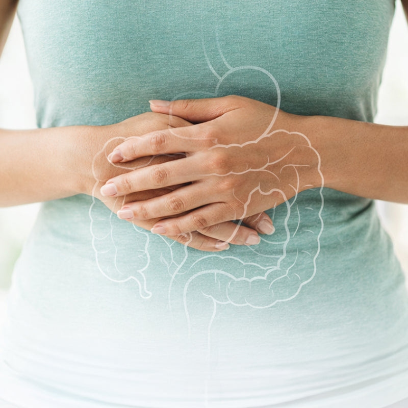 Why Gut Balance Gets Disrupted