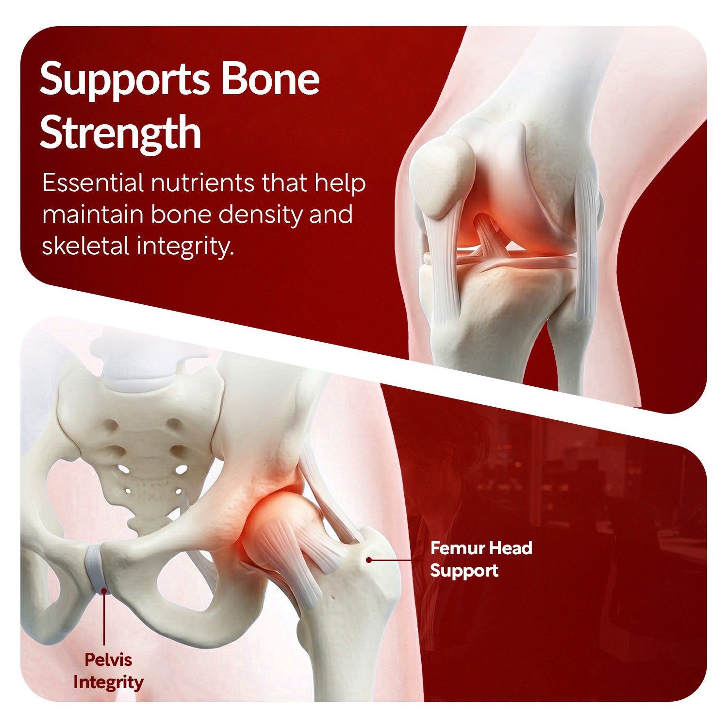 OSTEO-ZEN™ — Advanced Bone & Joint Support