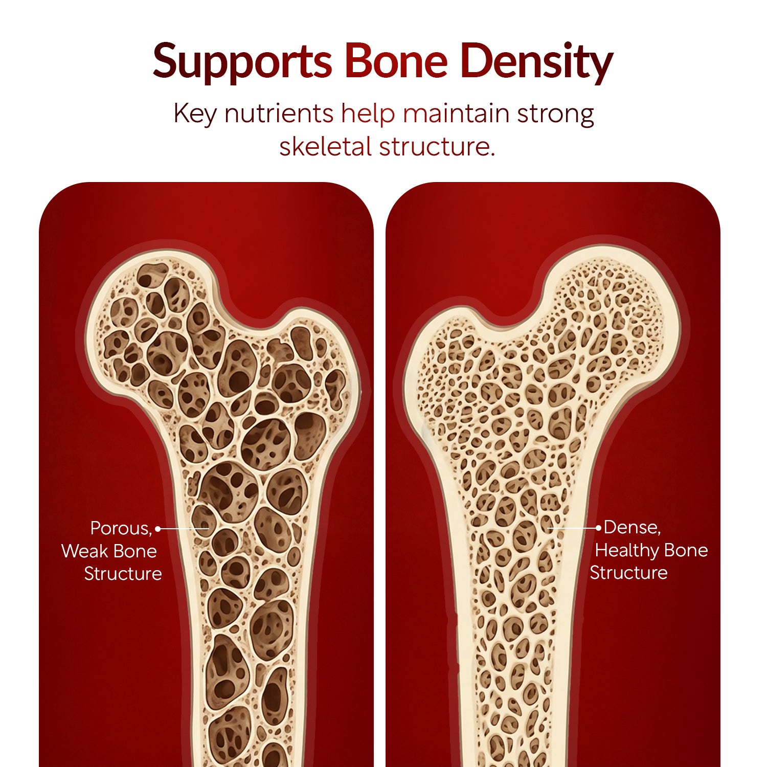 OSTEO-ZEN™ — Advanced Bone & Joint Support